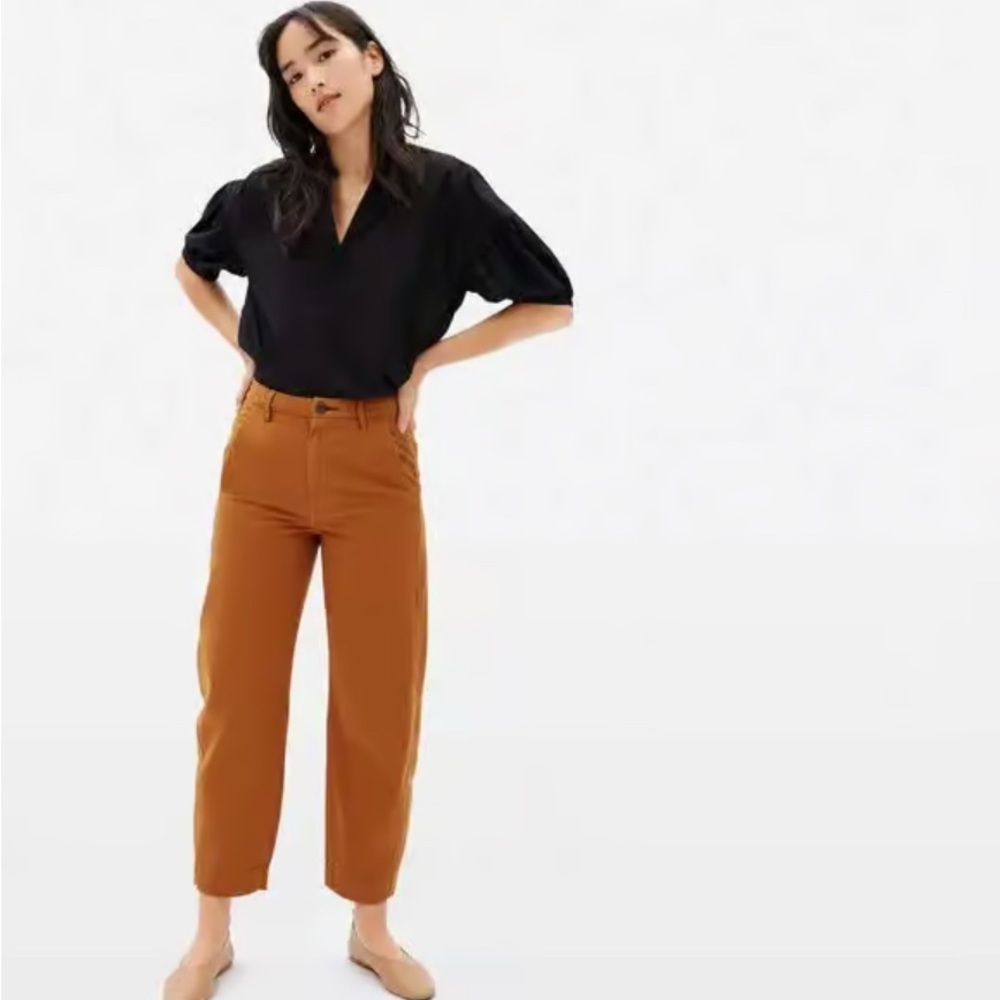 Everlane The Arc Canvas Pant 6
